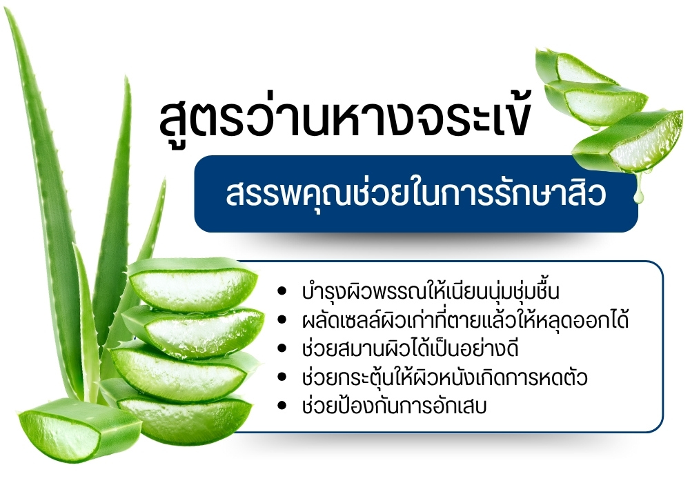 สูตรว่านหางจระเข้รักษาหลุมสิว