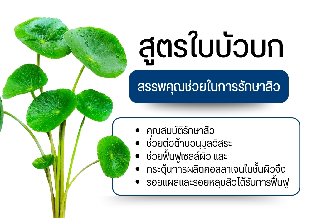 สูตรใบบัวบกรักษาหลุมสิว
