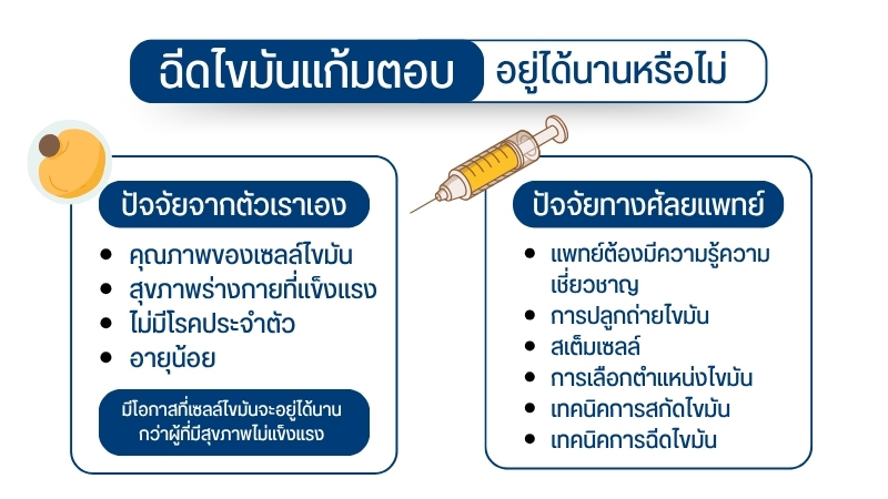 ฉีดไขมันแก้มตอบ อยู่ได้นานหรือไม่