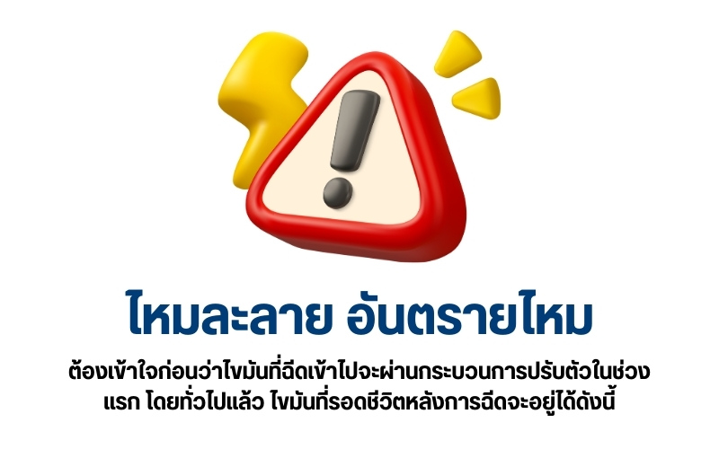 ไหมละลาย อันตรายไหม