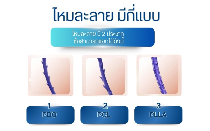 ไหมละลาย มีกี่แบบ
