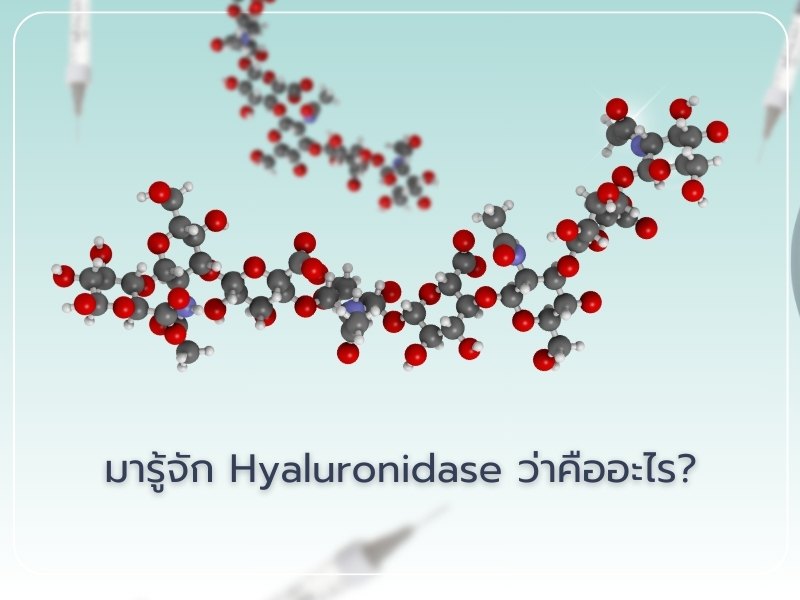 Hyaluronidase คืออะไร