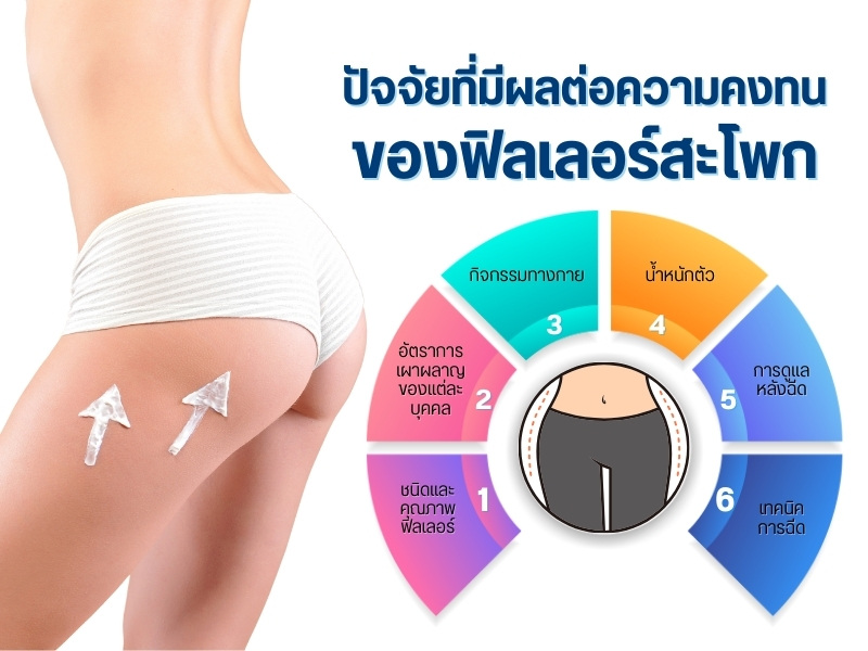 ปัจจัยที่มีผลต่อความคงทนของฟิลเลอร์สะโพก