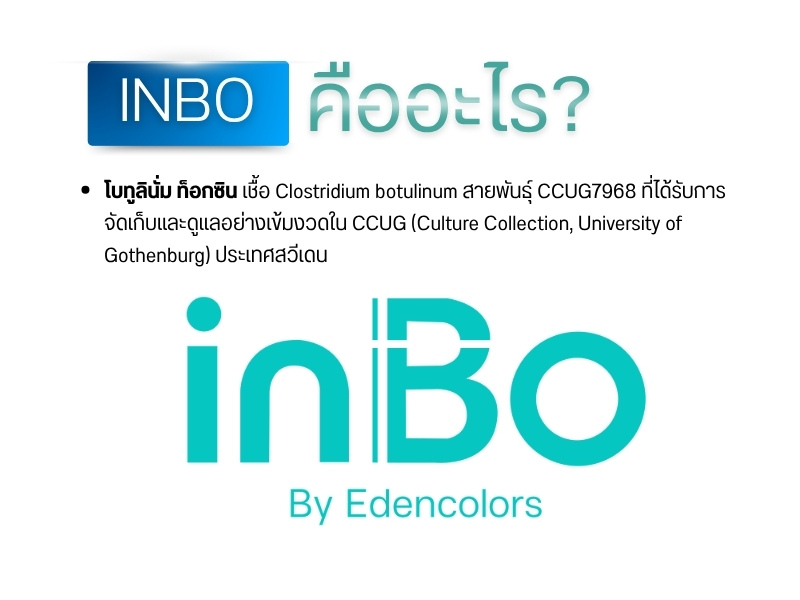  INBO คืออะไร?