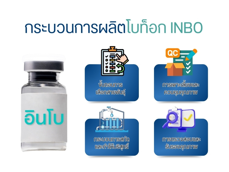 กระบวนการผลิตโบท็อก INBO