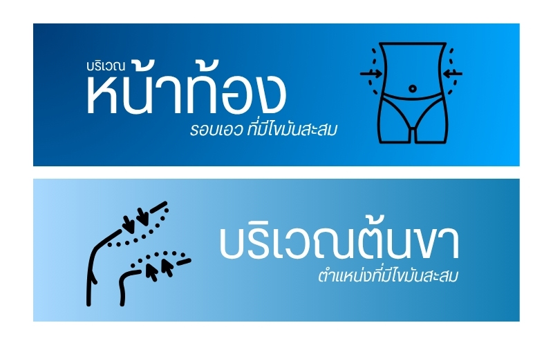 ไขมันที่นำมาใช้ นำมาจากส่วนใดของร่างกาย?