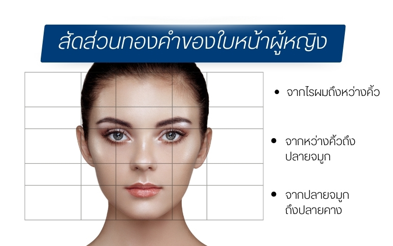 สัดส่วนทองคำของใบหน้าผู้หญิง