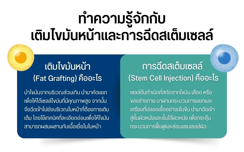 เปรียบเทียบเติมไขมันหน้า vs ฉีดสเต็มเซลล์