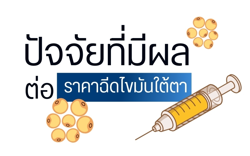 ปัจจัยที่มีผลต่อราคาฉีดไขมันใต้ตา