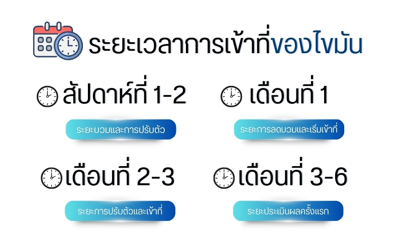 ระยะเวลาการเข้าที่ของไขมัน