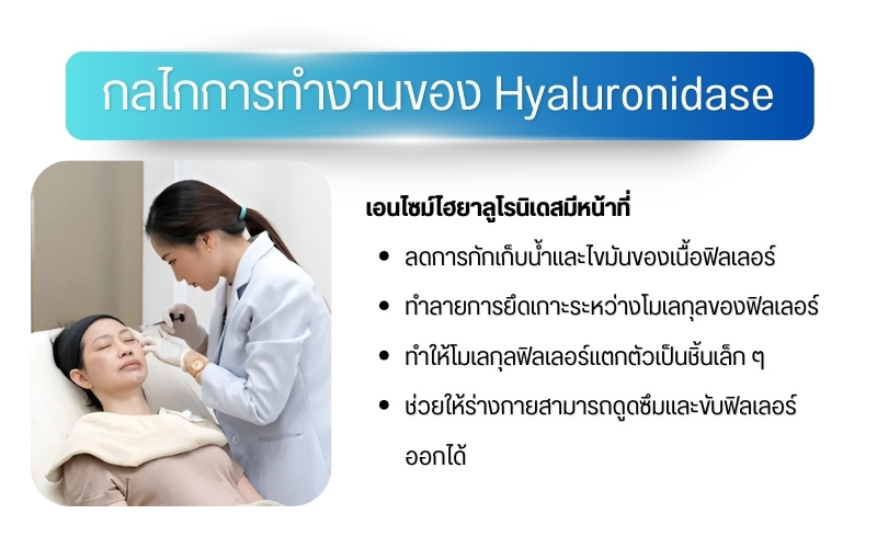 การฉีดสลายฟิลเลอร์หน้าผาก คืออะไร