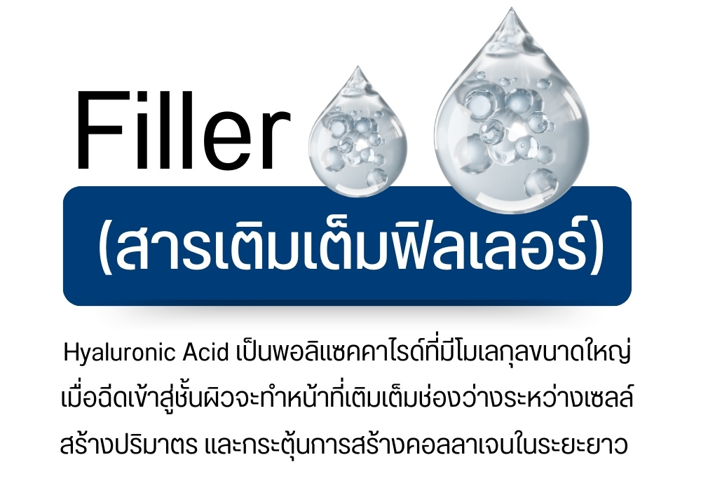 Filler (สารเติมเต็มฟิลเลอร์)