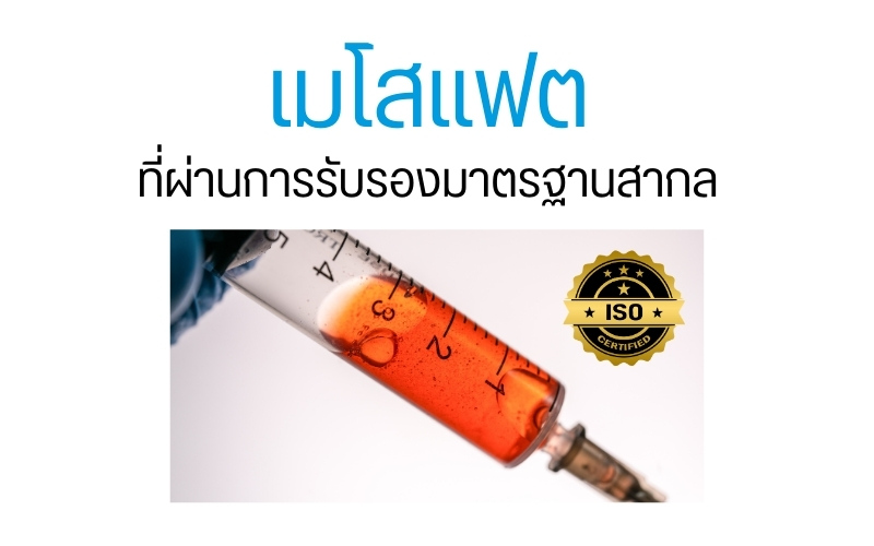 เมโสแฟตที่ผ่านการรับรองมาตรฐานสากล