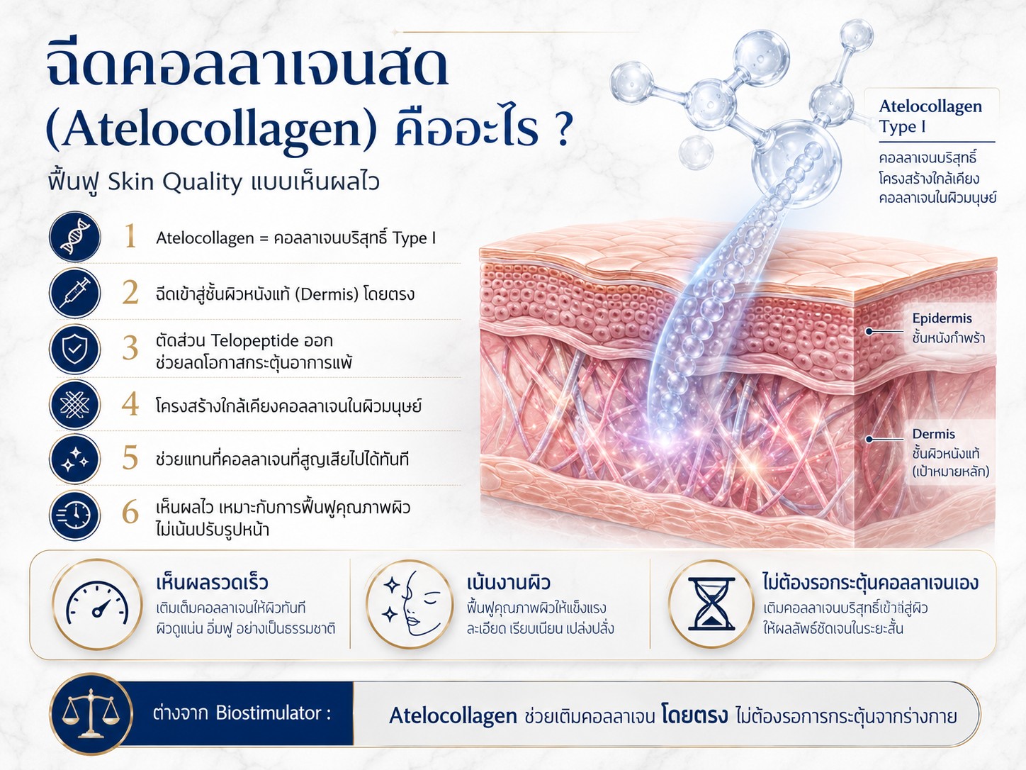 ฉีดคอลลาเจนสด (Atelocollagen) คืออะไร ?